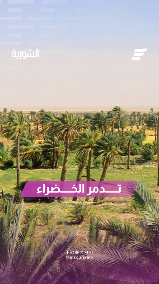 بعيداً عن صورة الصحراء القاحلة.. تكشف تدمر شرق حمص عن وجه آخر