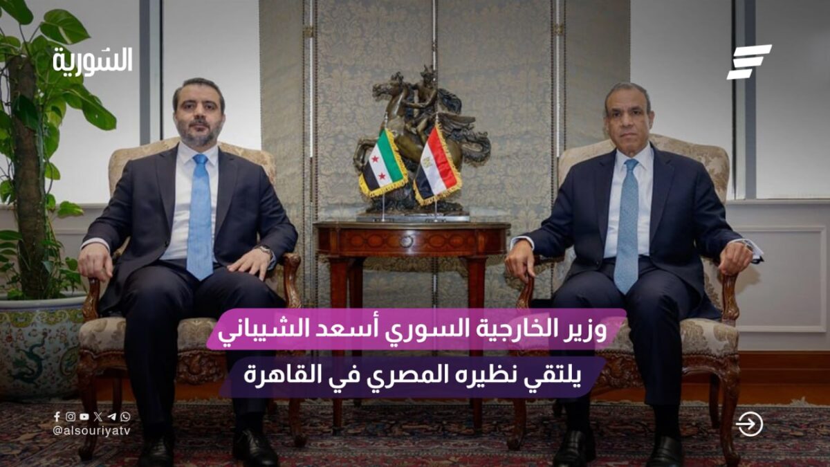 "زيارة وزيري الخارجية والاقتصاد السوريين إلى مصر: تعزيز العلاقات الثنائية وآفاق التعاون"