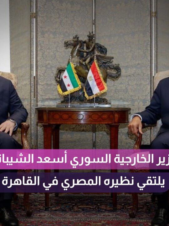 "زيارة وزيري الخارجية والاقتصاد السوريين إلى مصر: تعزيز العلاقات الثنائية وآفاق التعاون"