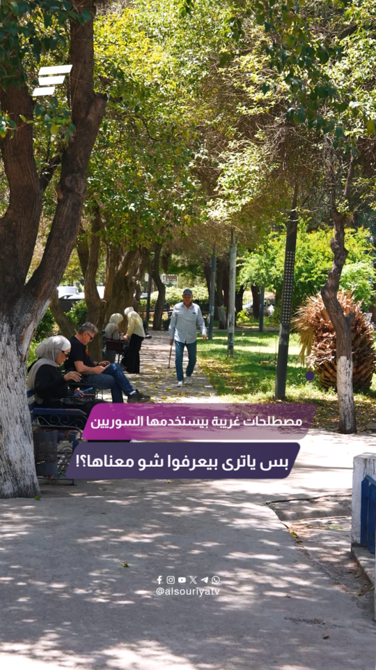 "أبو كمونة.. داء النقرزان.. طم غم" مصطلحات غريبة بيستخدمها السوريين بس ياترى بيعرفوا شو معناها؟!