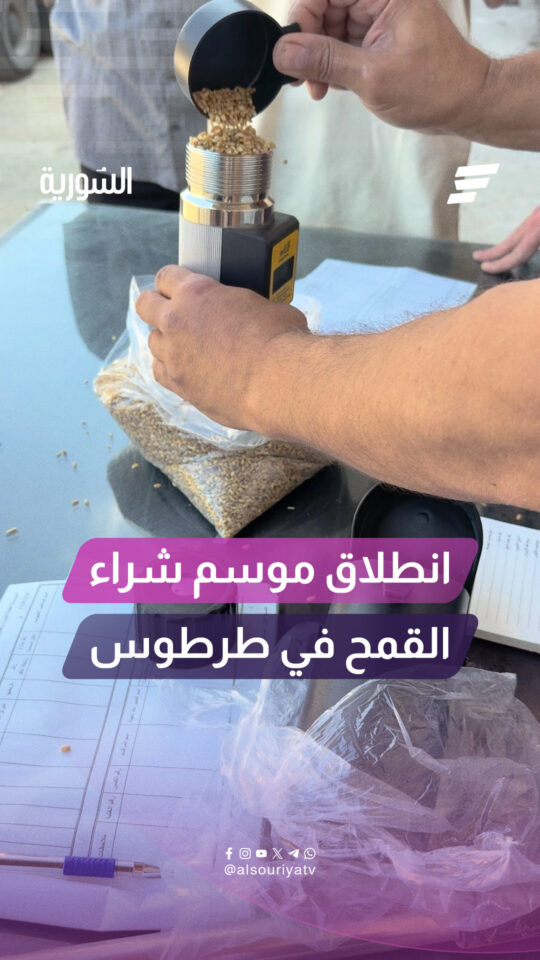 "وسط تسهيلات كبيرة واستنفار الكوادر لتقديم أفضل الخدمات".. افتتاح موسم شراء محصول القمح