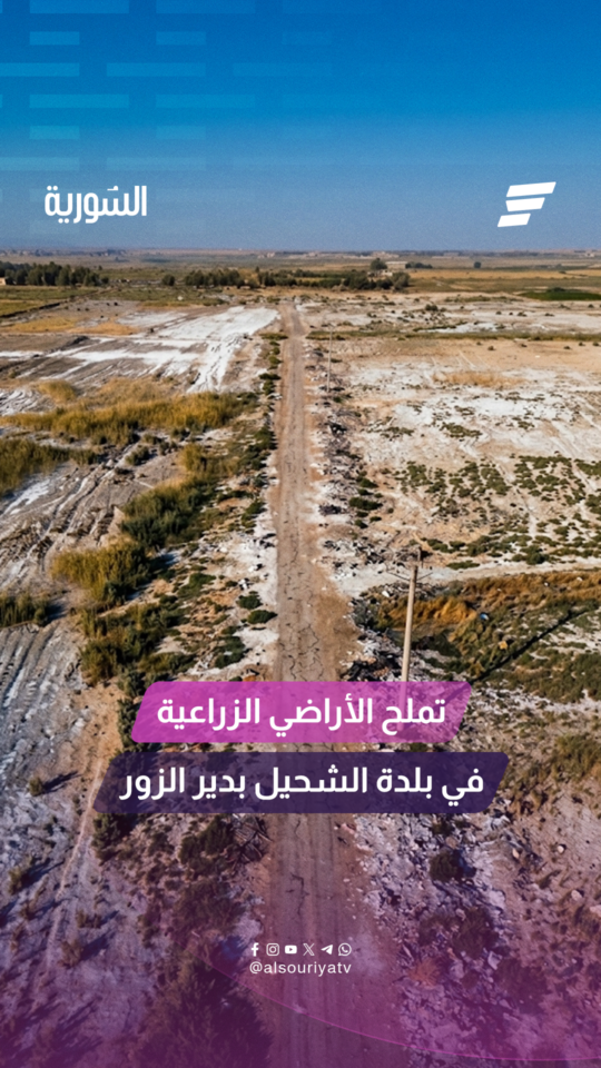 تملح الاراضي الزراعية في بلدة الشحيل بدير الزور