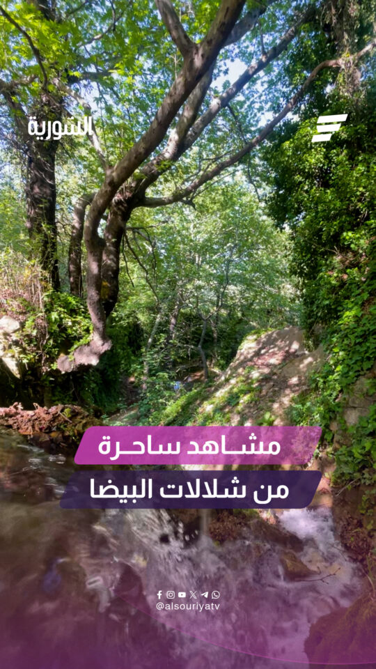 شلالات البيضا في ريف حماة.. لوحة ساحرة تنبض بالجمال والهدوء في قلب الطبيعة الخلابة