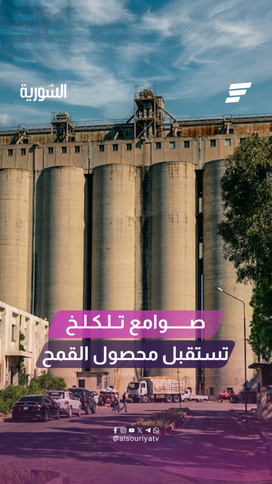 باشرت المؤسسة العامة للحبوب في حمص، استلام محصول القمح من المزارعين في صوامع تلكلخ غرب المدينة
