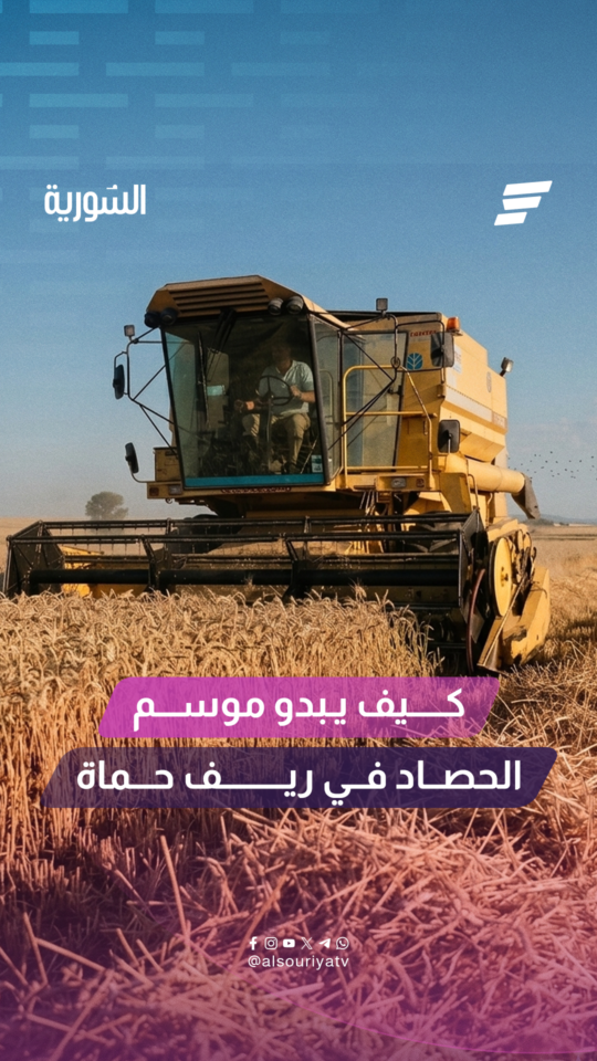 كيف يبدو موسم الحصاد في ريف حماة