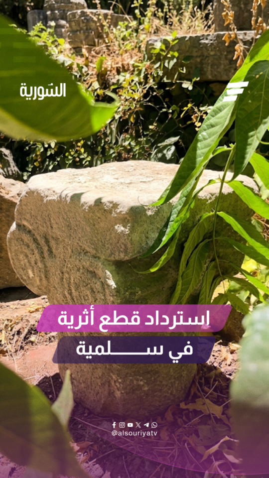 استرداد قطع أثرية في سلمية