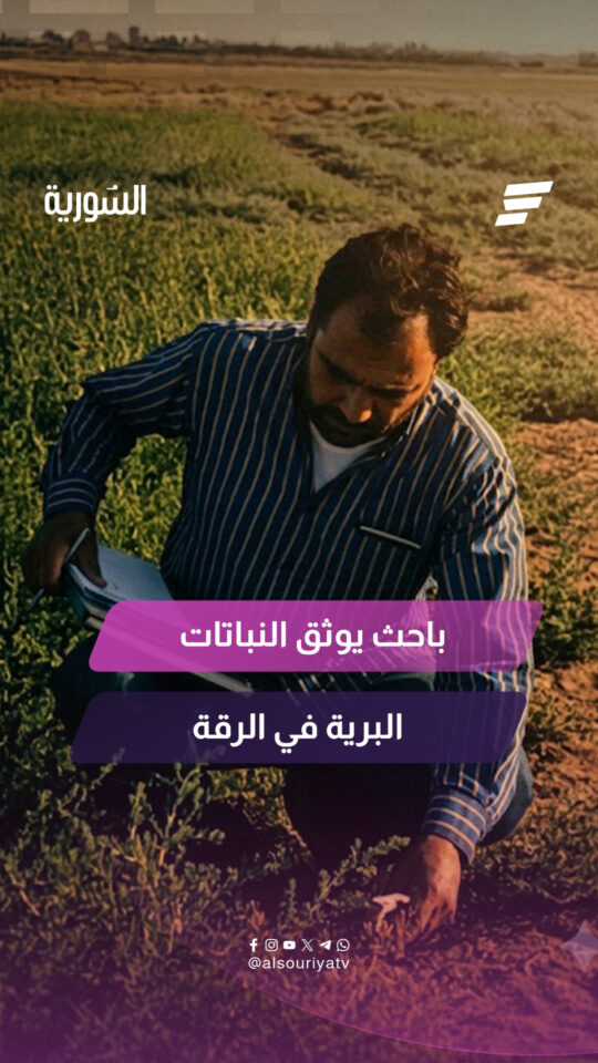 باحث يوثق النباتات البرية