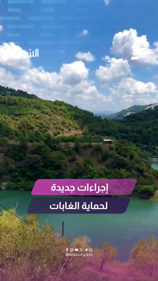 خطة وطنية شاملة لحماية الغابات السورية من الحرائق
