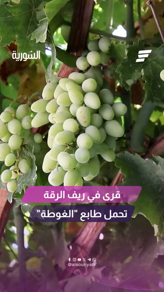 تيمناً بغوطة دمشق.. قرى الكسرات في ريف الرقة الجنوبي تُلقب بـ"الغوطة" لكثرة الأشجار المثمرة فيها
