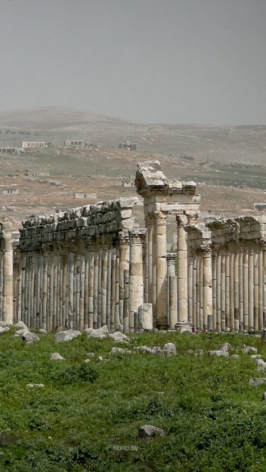 الآثار والمتاحف تعرض 23 قطعة أثرية ضمن مهرجان "صيف سوريا للعائلة"