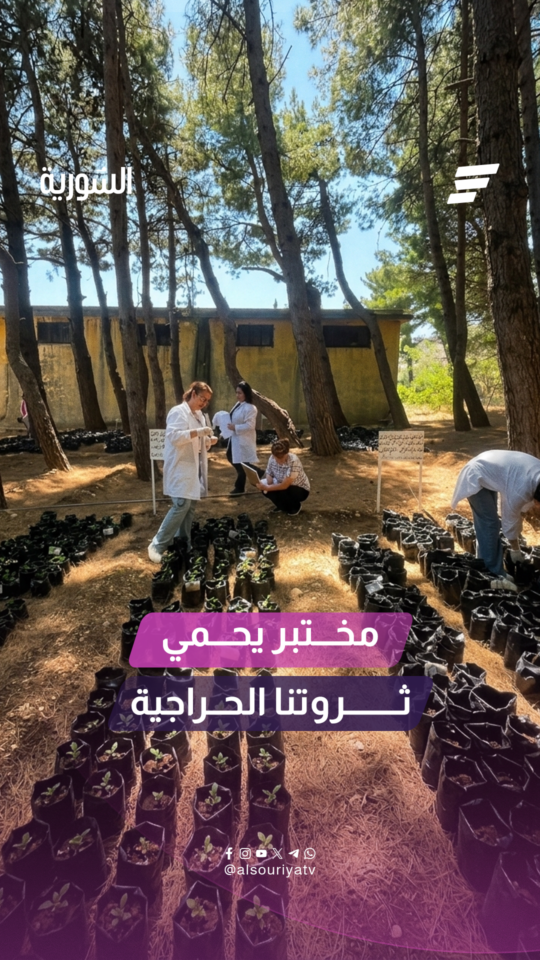 محطة طاحون الحلاوة في الغاب بنك وراثي وطني لحفظ الأنواع الحراجية المهددة ودعم ترميم الغابات المتضررة